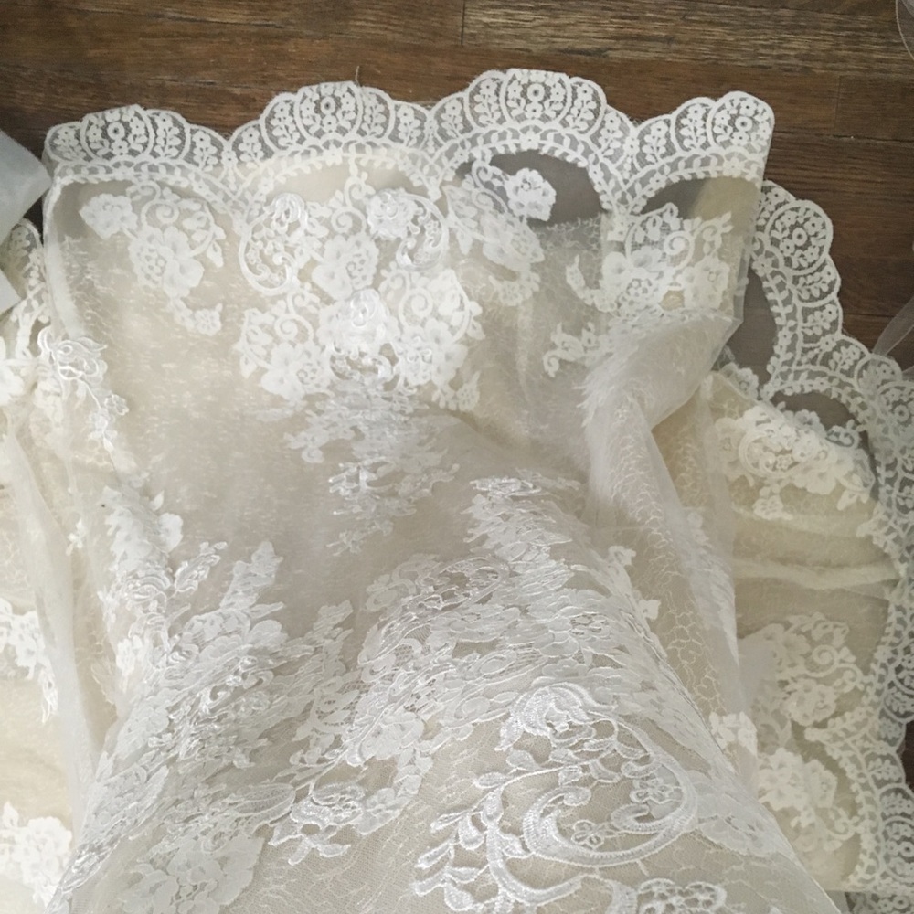 Pronovias Princia Wedding Dress - Picture 3 of 4